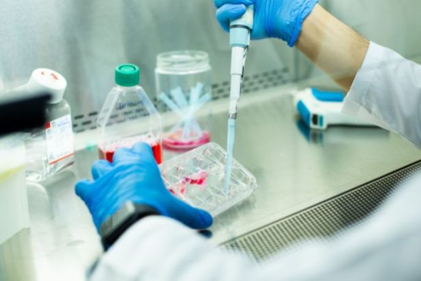 Gabriel Naves Torres Borges