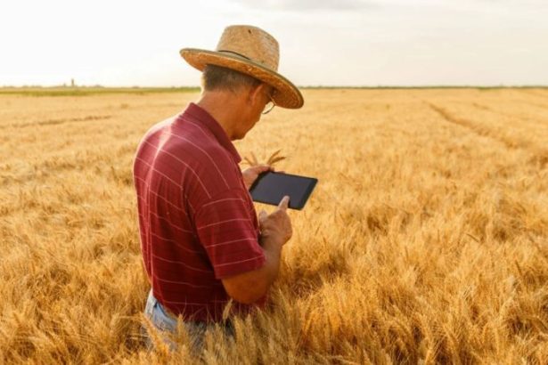 Carlos Eduardo Moraes Nunes