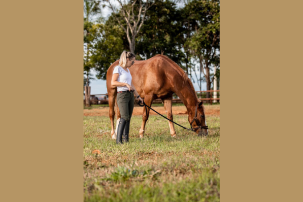 Mariana Emanuele Portela Mourão