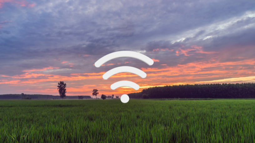 Internet no campo significa acesso a inovação, gestão em tempo real e novos mercados, afirma Fabio Jose Gentil Pereira Rosa.