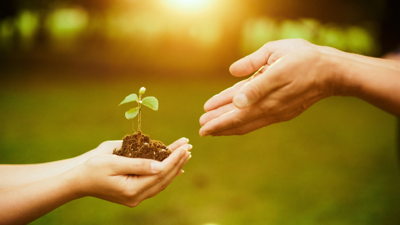 Criar um modelo sustentável e robusto é possível, como ressalta Francisco Gonçalves Perez ao mostrar a força do equilíbrio entre impacto e rentabilidade.