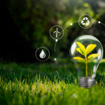 Francisco Gonçalves Perez explica como construir um negócio sustentável e financeiramente viável que se mantém sólido mesmo em mercados desafiadores.