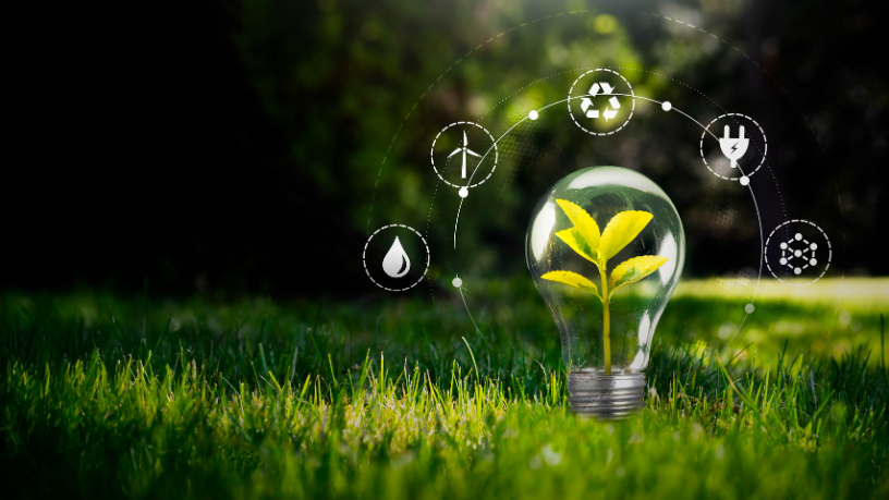 Francisco Gonçalves Perez explica como construir um negócio sustentável e financeiramente viável que se mantém sólido mesmo em mercados desafiadores.