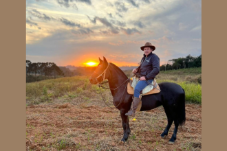 Baia para cavalos: como escolher com segurança e conforto, segundo a experiência e orientação de Altevir Seidel.