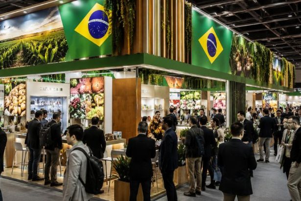 Empresas Brasileiras na SIAL Shanghai 2026: Quem Vai, o Que Leva e Por Que Isso Importa